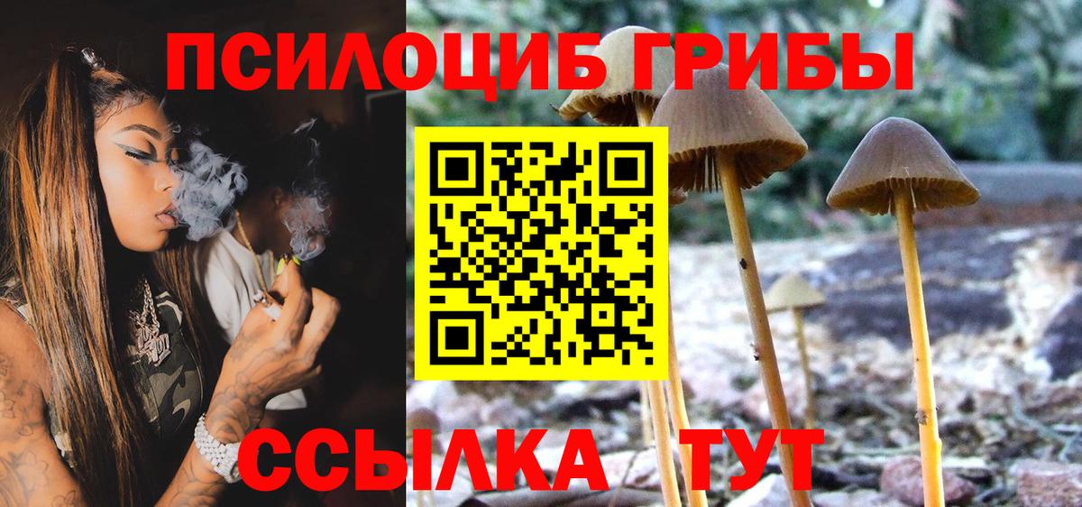 Галлюциногенные грибы прущие грибы  Псилоцибиновые грибы GOLDEN TEACHER  Бердск  Вход с VPN 