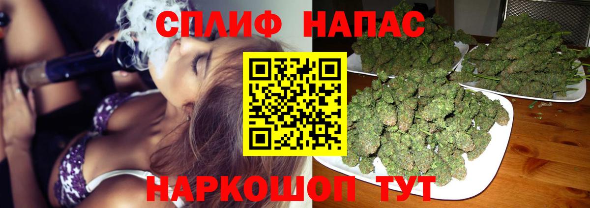 Конопля Amnesia Бердск